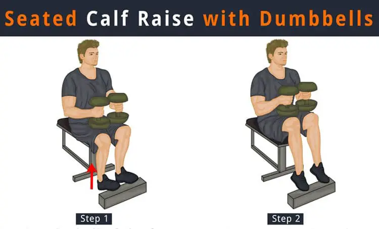 Seated Calf Raise with Dumbbells